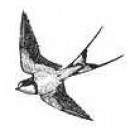 Logo of Swallowdale Holiday Home Holidays - Self Catering Accommodation In Brundall , Norfolk