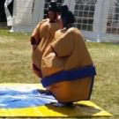 Logo of The sumo suits hire company