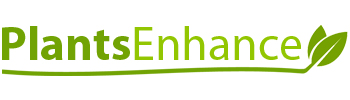 Logo of Plants Enhance On Line Ltd Floral And Plant Displays In Highbridge, Somerset
