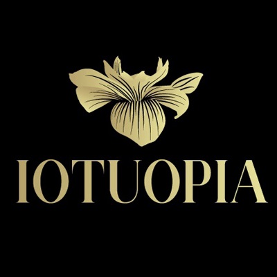 Logo of loana Tudoroiu