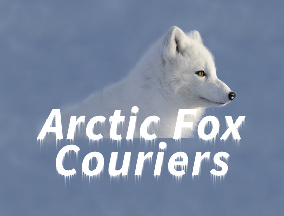 Logo of Arctic Fox Couriers