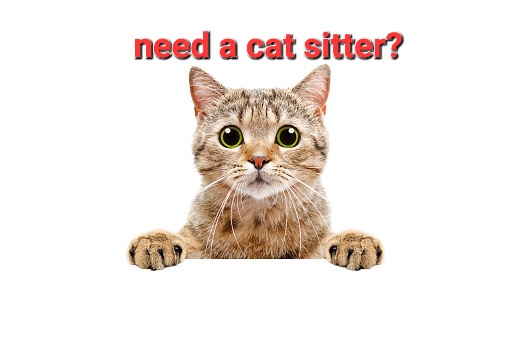Logo of Catsitting With Love Cat Breeders In Merton, Surrey
