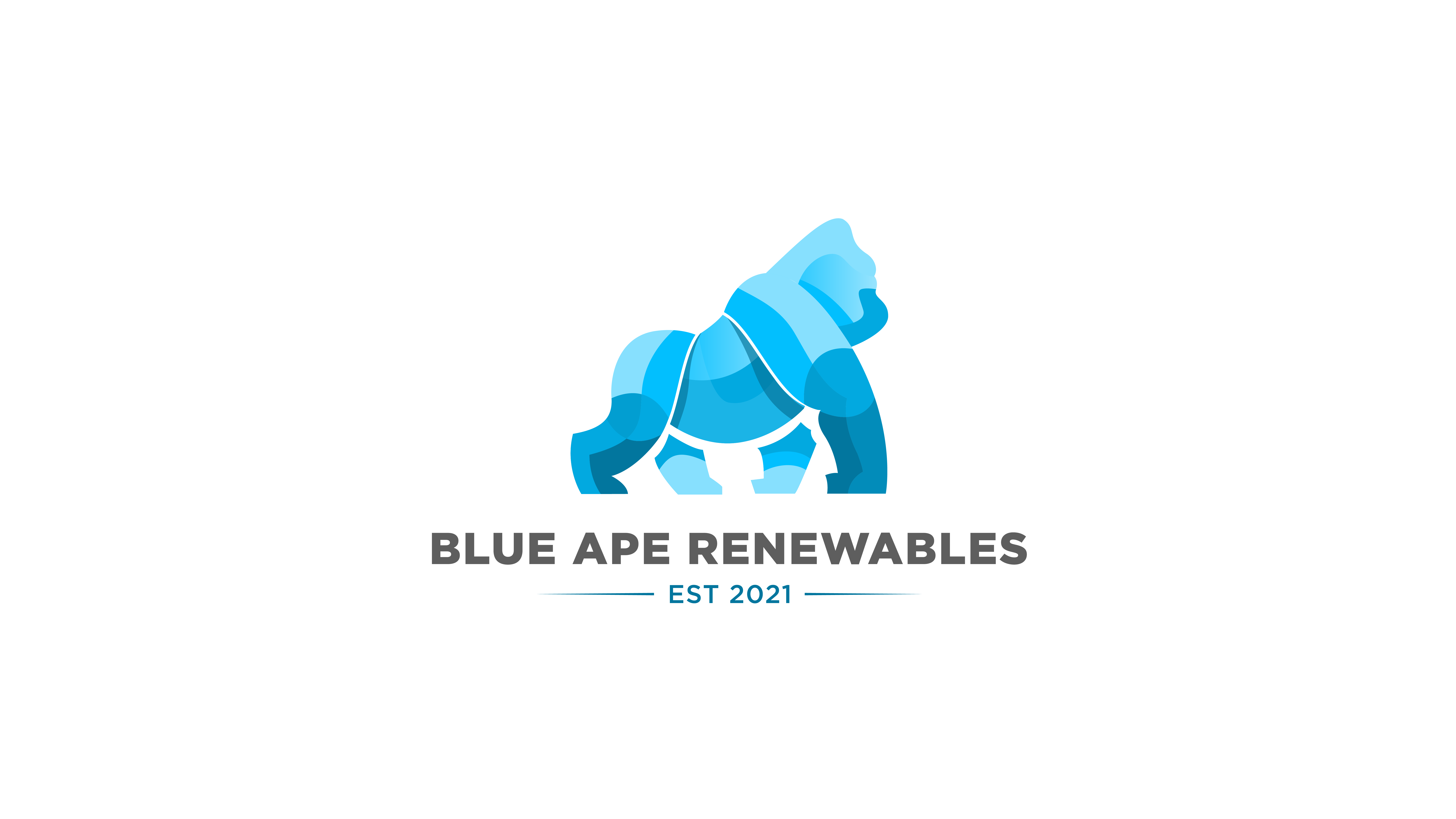 Logo of Blue Ape Renewables Solar Energy Equipment - Suppliers And Installers In Southport, Merseyside