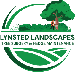 Logo of Lynsted Landscapes - Tree Surgeon Canterbury